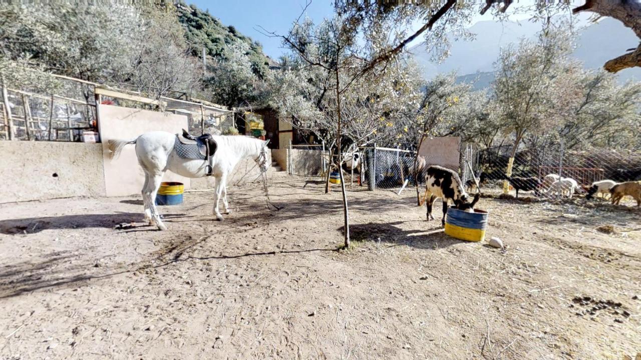 Hotel Ferme By Ikalimo Ourika Esterno foto