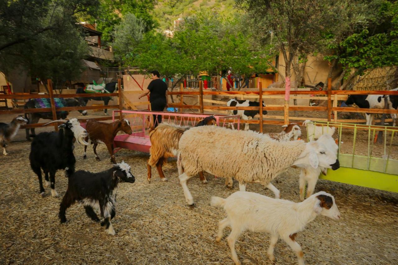 Hotel Ferme By Ikalimo Ourika Esterno foto